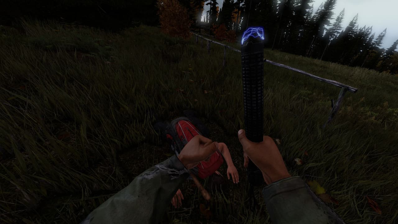 DayZ (PC) - Steam Gift - BRAZIL aperçu 3
