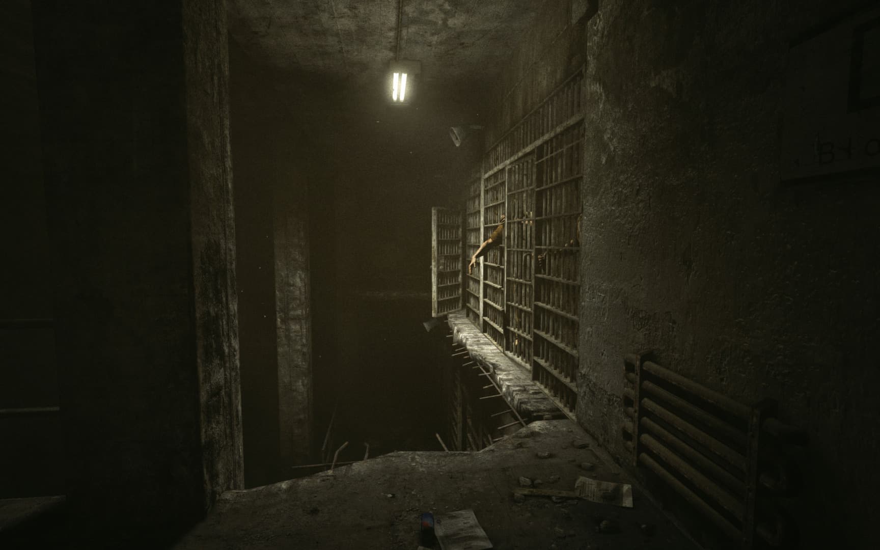 Outlast GOG.COM Key GLOBAL aperçu 3